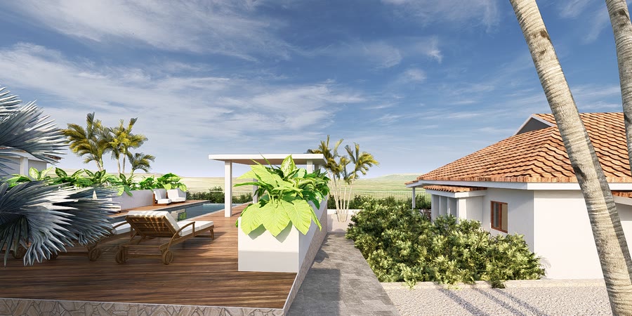Loungers beside the shared pool under palms